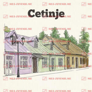 CG-CTE26-2-10 (50 komada)