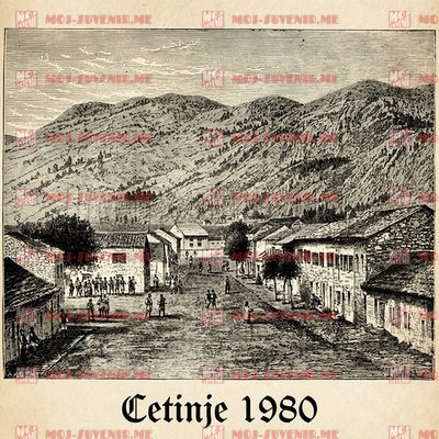 CG-CTE26-2-12 (50 komada)