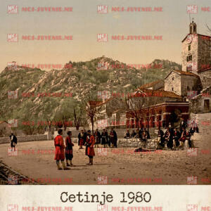CG-CTE26-2-13 (50 komada)