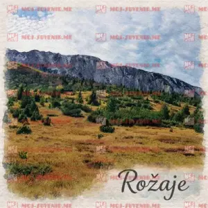 CG-ROZ-26-1-1 (50 komada)