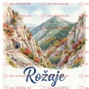 CG-ROZ-26-2-1 (50 komada)